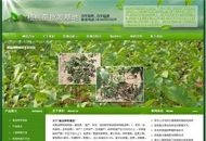 核桃苗批发基地